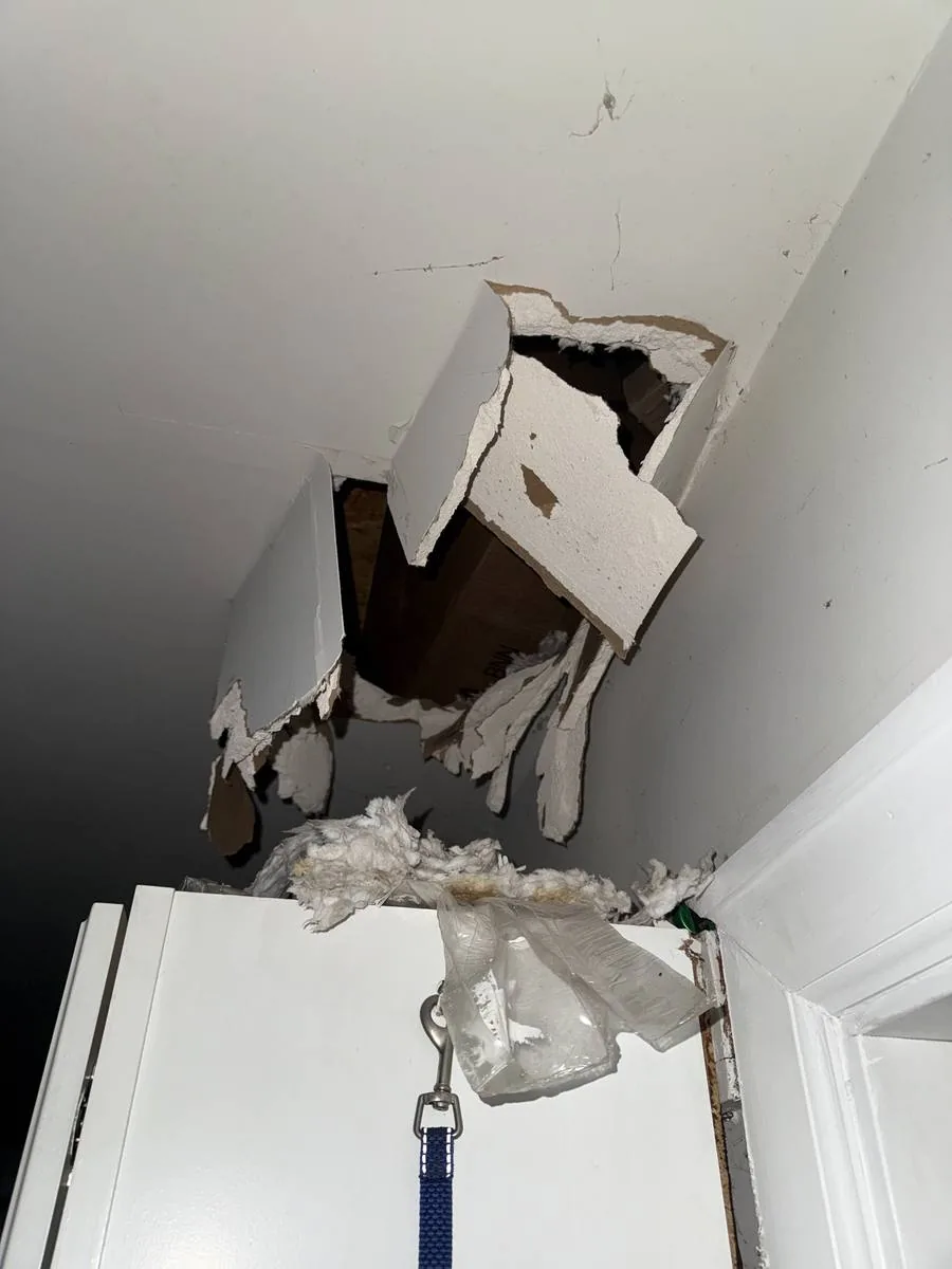 Ceiling before repair — large collapse with insulation and drywall damage